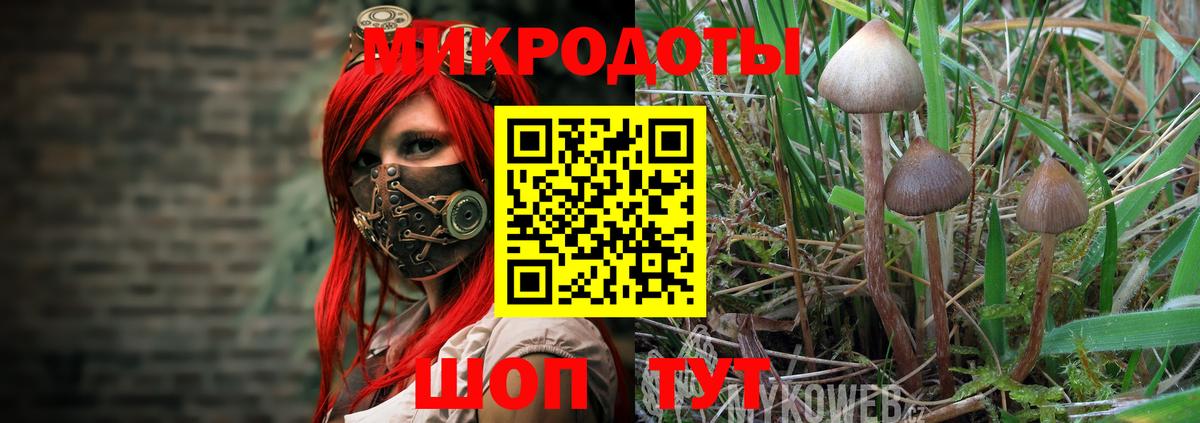 Псилоцибиновые грибы мухоморы  где можно купить наркотик  Гатчина  Вход с VPN 